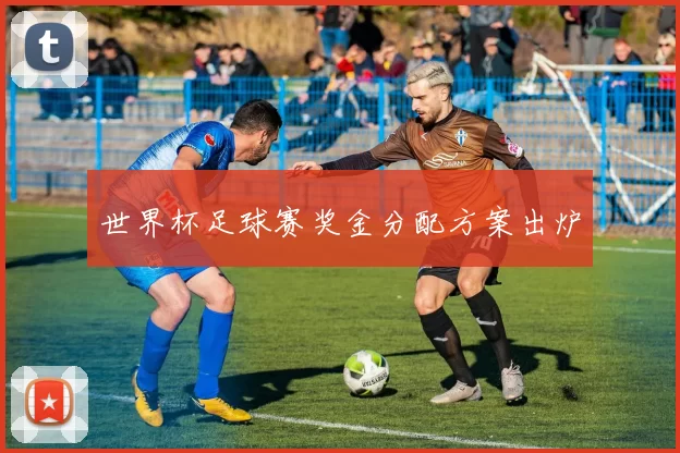 世界杯足球赛奖金分配方案出炉