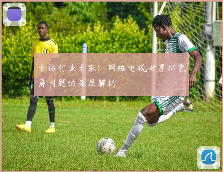 专访行业专家:网络电视世界杯黑屏问题的深层解析