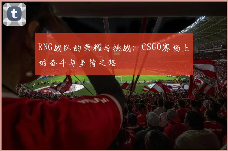 RNG战队的荣耀与挑战:CSGO赛场上的奋斗与坚持之路