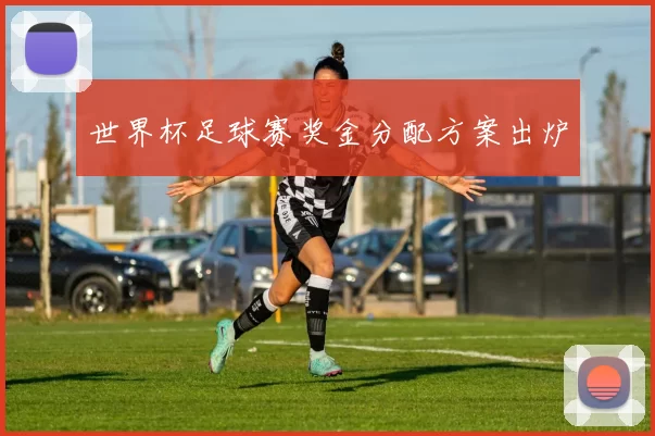 世界杯足球赛奖金分配方案出炉