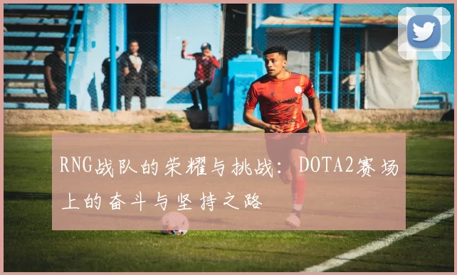 RNG战队的荣耀与挑战：DOTA2赛场上的奋斗与坚持之路