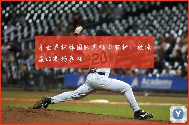 年世界杯韩国队黑哨全解析:被掩盖的赛场真相
