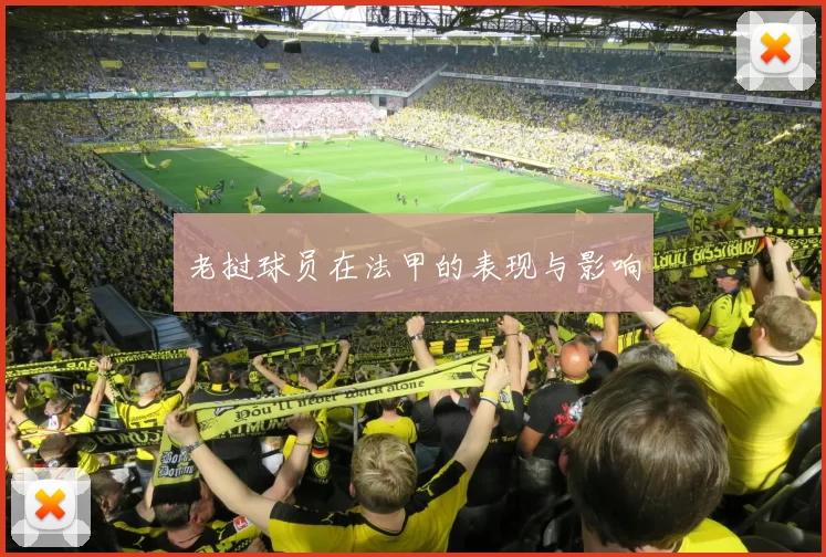 老挝球员在法甲的表现与影响
