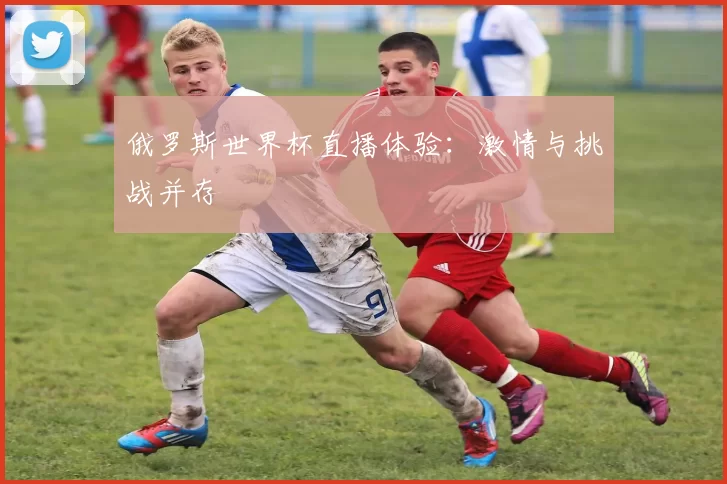 俄罗斯世界杯直播体验:激情与挑战并存