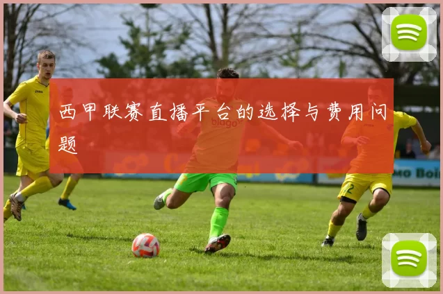 西甲联赛直播平台的选择与费用问题